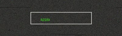 RZERX LTD logo